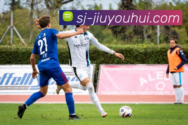 J9九游会官网发展历程