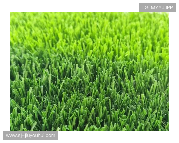 以创新科技驱动高性能足球塑胶草坪绿色智能制造发展新格局